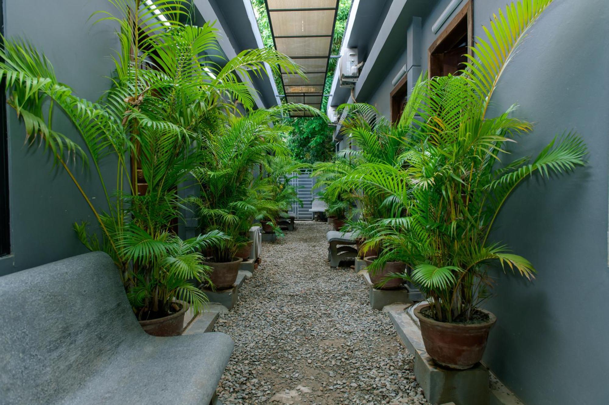 סיאם ריפ Angkor Piseth Homestay מראה חיצוני תמונה